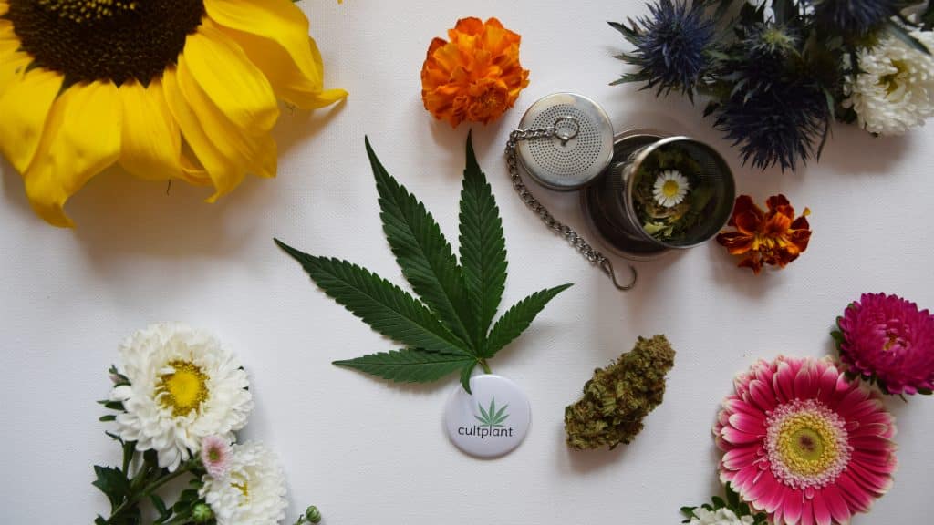 Zeigt Terpene von bunte Blumen, Cannabis Blüten und einem grünen Hanfblatt auf weißem Hintergrund
